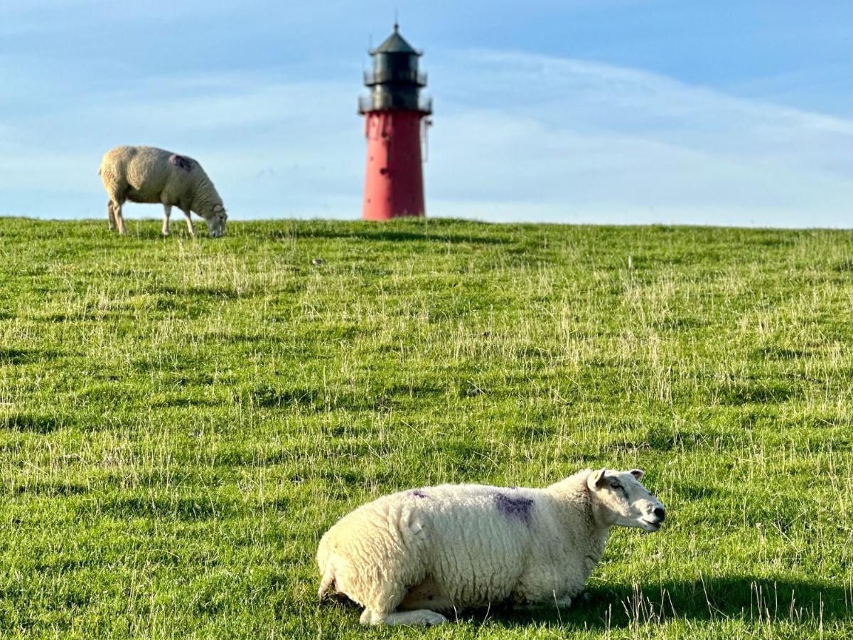 Perle Auf Pellworm Daire Dış mekan fotoğraf